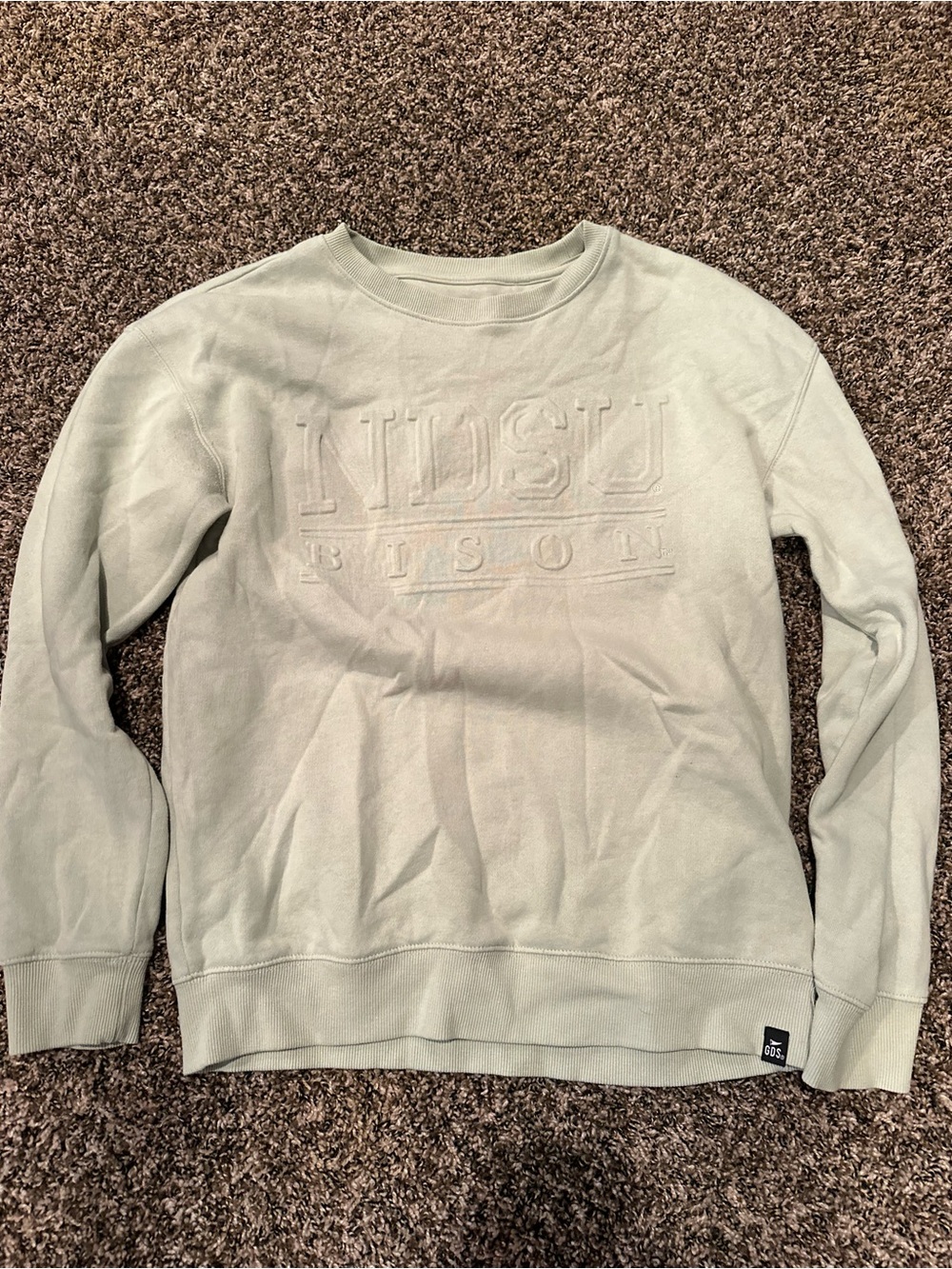 Champion Crewneck Sweatshirt in Light Sage
